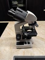 microscoop BRESSER BINO 40x - 1000x, Ophalen, Zo goed als nieuw, 400x tot 1000x, Biologische microscoop