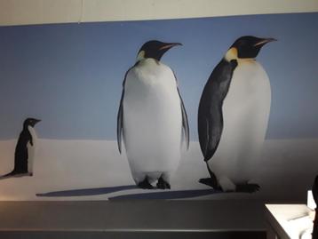 Wanddecoratie pinquin beschikbaar voor biedingen