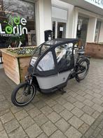 Carqon Cruise 500wh, Overige merken, 4 kinderen of meer, Huif, Nieuw