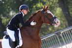 Plek vrij voor trainingspaarden, Diensten en Vakmensen, Dieren | Paarden | Verzorging, Oppas en Les, Ruiter of Bijrijder