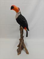 Toekan vogel op hoge stam., Ophalen, Nieuw, Dier