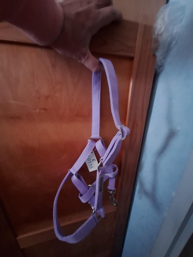 Te koop splinter nieuw halster, Dieren en Toebehoren, Ophalen of Verzenden, Nieuw, Overige soorten