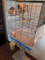 Zebravink, Ophalen, Gebruikt, Overige materialen, Vogelkooi