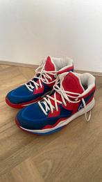 Nike Kyrie Infinity, Sport en Fitness, Basketbal, Ophalen of Verzenden, Zo goed als nieuw, Schoenen