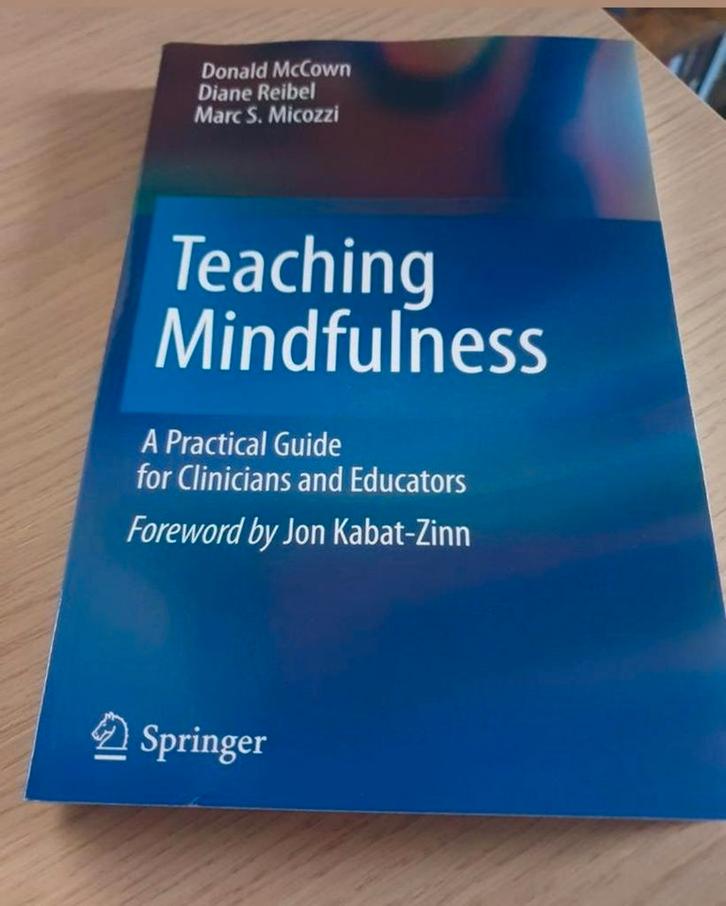 Teaching Mindfulness - Praktische Gids, Boeken, Esoterie en Spiritualiteit, Zo goed als nieuw, Instructieboek, Spiritualiteit algemeen