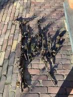 Druiventakken, Ophalen, Gebruikt