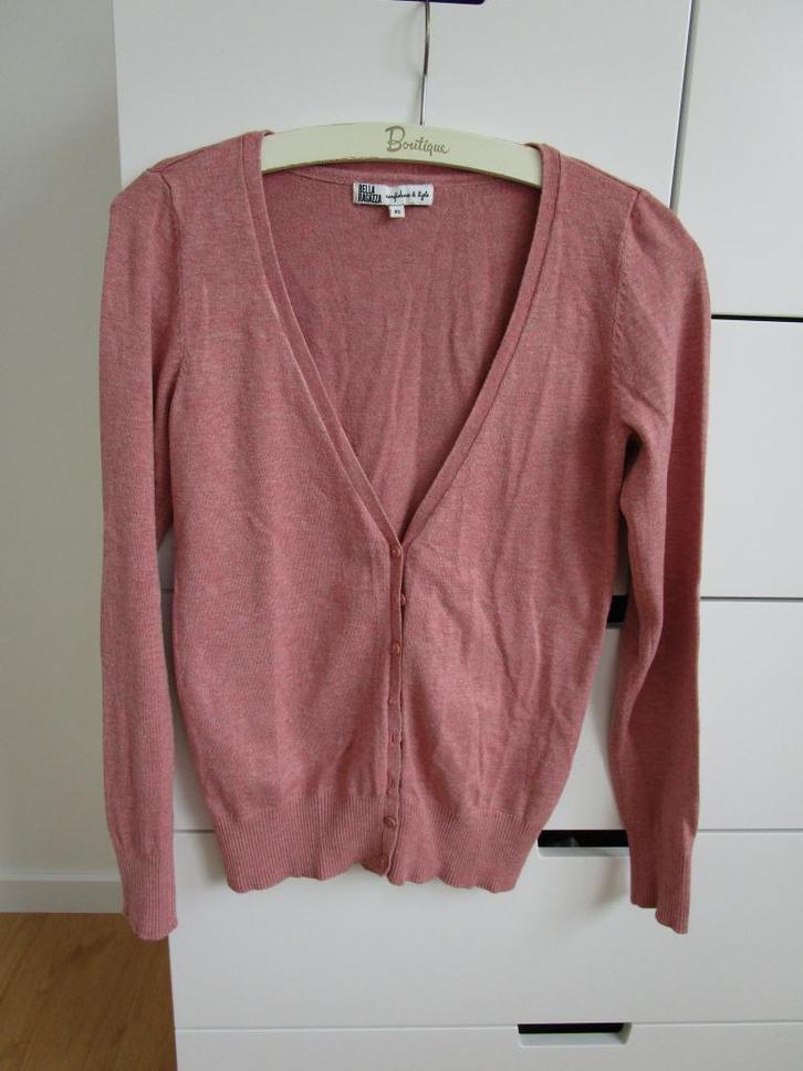 Bella Ragazza - roze vestje maat XS, Kleding | Dames, Truien en Vesten, Gedragen, Maat 34 (XS) of kleiner, Roze, Ophalen of Verzenden