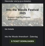 Into the woods ticket zaterdag (Amersfoort), Tickets en Kaartjes, Eén persoon