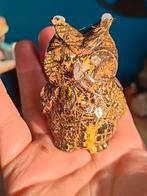 Picture jaspis uil, Verzamelen, Mineralen en Fossielen, Ophalen of Verzenden