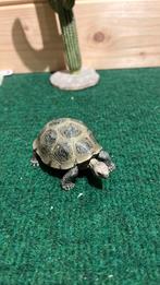 Schleich landschildpad, Ophalen of Verzenden, Zo goed als nieuw, Paard, Beeldje of Figuurtje