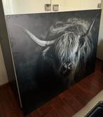 Schotse Hooglander, Ophalen, 125 cm of meer, 75 cm of meer, Print