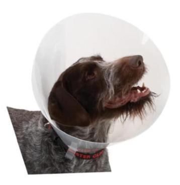 Beschermkraag Kunststof - Bescherm nekkraag  beschikbaar voor biedingen