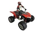 HPI E-Savage 1/8 rc auto, Elektro, Gebruikt, Auto offroad, Ophalen of Verzenden