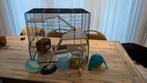 Complete hamsterkooi, Kooi, Minder dan 75 cm, Zo goed als nieuw, Hamster