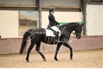 Mooie zwarte 14 jarige merrie, Dieren en Toebehoren, Paarden, Merrie, Dressuurpaard