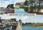 H12 ongelopen ansichtkaart groeten uit Appelscha, Ophalen of Verzenden, Ongelopen