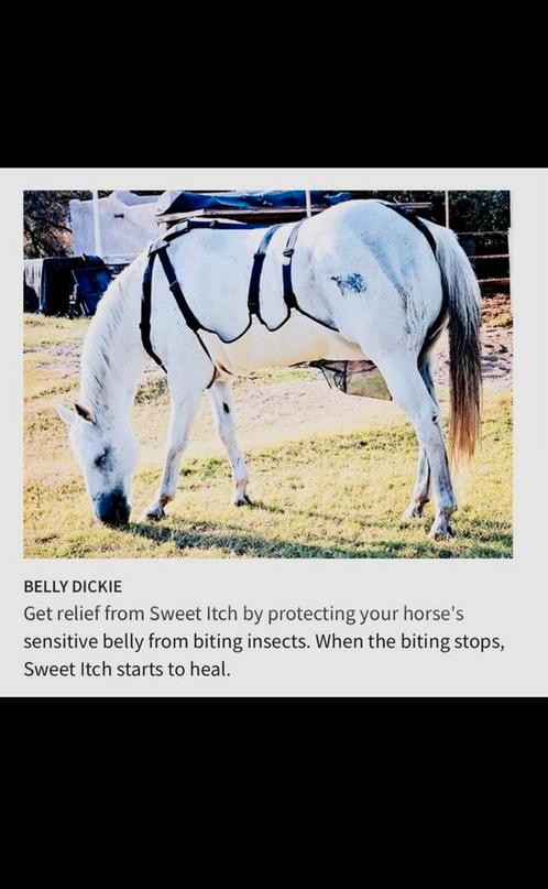 Buikbeschermer tegen insecten • Maat : e-pony/klein paard, Dieren en Toebehoren, Paarden en Pony's | Beschermers, Zo goed als nieuw