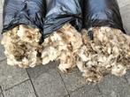 Wol Walliser Schwarznase. schapen, Ophalen, Zo goed als nieuw, Breien of Haken, Wol of Garen