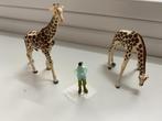 2 Giraffes voor bij de trein of diorama HO 1:87, Hobby en Vrije tijd, Nieuw, Overige merken, Ophalen of Verzenden, Natuur