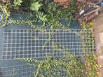 Gaaspanelen 60 cm x 2 meter, Tuin en Terras, Ophalen, Zo goed als nieuw, Minder dan 10 meter