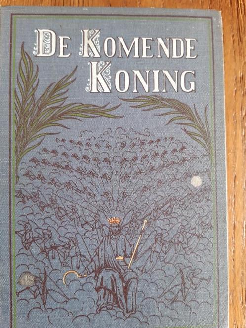 Geschiedenis boek Bijbel/ Maatschappij, Boeken, Geschiedenis | Wereld, Gelezen, Europa, 19e eeuw, Ophalen of Verzenden