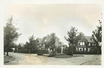 (378-281-015) Haren GN West Drift beschikbaar voor biedingen