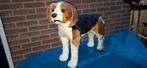 Beagle knuffel opzet, Kinderen en Baby's, Speelgoed | Knuffels en Pluche, Ophalen of Verzenden, Gebruikt, Hond