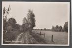 markelo berkenlaantje, Verzenden, Voor 1920, Ongelopen, Overijssel