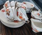 Tsjechisch koffieservies oranje bloemen met gouden rand, Antiek en Kunst, Antiek | Servies compleet, Ophalen of Verzenden