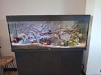 Juwel rio 240, Ophalen, Zo goed als nieuw, Leeg aquarium
