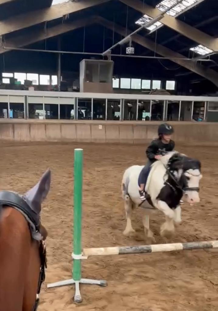 ‼️pony gezocht‼️, Dieren en Toebehoren, Paarden en Pony's | Verzorgingsproducten, Ophalen of Verzenden