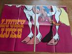 grote poster van lucky luke, Ophalen of Verzenden, Overige figuren, Gebruikt, Plaatje, Poster of Sticker