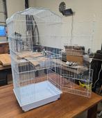 Vogelkooi, Ophalen, Nieuw, Vogelkooi