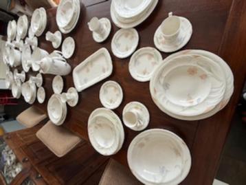 Royal Albert Horizons Fantasia beschikbaar voor biedingen