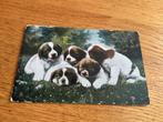 A334) hond, Verzamelen, Ophalen of Verzenden, Overige thema's