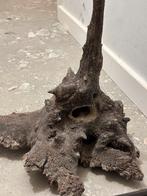 Houtblok voor Terrarium / paludarium / aquarium, Ophalen, Gebruikt, Tak, Plant, Rots of Steen