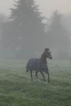 Ontzettend lieve Welsh merrie 1.21 -1.25 ongv, Dieren en Toebehoren, Minder dan 160 cm, 11 jaar of ouder, Recreatiepaard, Merrie