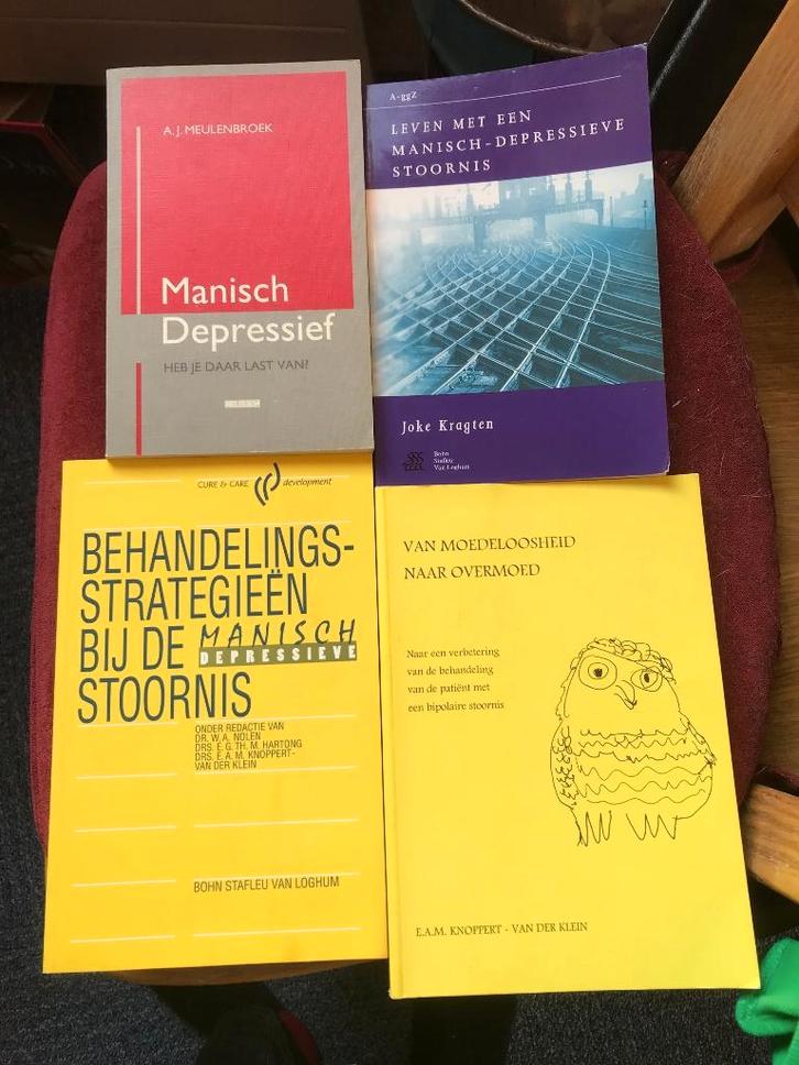 Bipolaire stoornis/manisch depressief -2-, Boeken, Psychologie, Gelezen, Ophalen of Verzenden