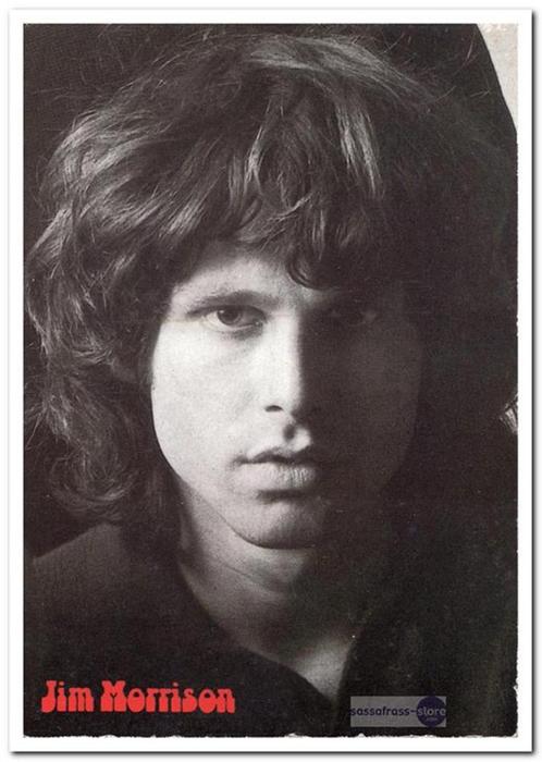 Ansichtkaart: Jim Morrison, Verzamelen, Ansichtkaarten | Nederland, Ongelopen, Verzenden