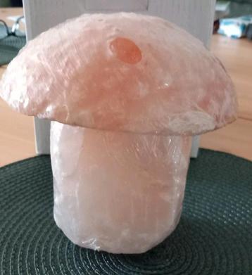 Himalaya zoutsteen paddestoel met lampj beschikbaar voor biedingen