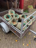 Eendenkorven, Ophalen of Verzenden, Nieuw