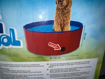 Zwembad voor hond beschikbaar voor biedingen