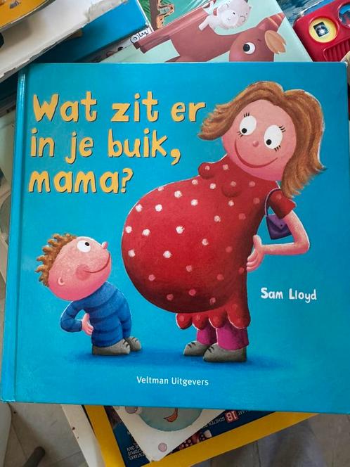 S. Lloyd - Wat zit er in je buik, mama?, Boeken, Kinderboeken | Jeugd | onder 10 jaar, Gelezen, Ophalen of Verzenden