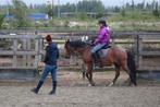 Les; rijden, grondwerk, longeren, natural horsemanship, Diensten en Vakmensen, Dieren | Paarden | Verzorging, Oppas en Les