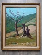 Schilderij # De Vallei, Ophalen of Verzenden