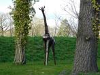 Giraffe Zola - 290 cm - Handgemaakt en Uniek, Ophalen of Verzenden, Nieuw, Metaal