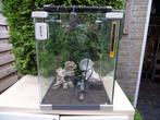 aqarium 40x33 met toebehoren, Ophalen, Gebruikt, Verlichting of Verwarming