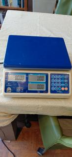 GR-ll Rekenweegschaal - 6kg/2g, Ophalen