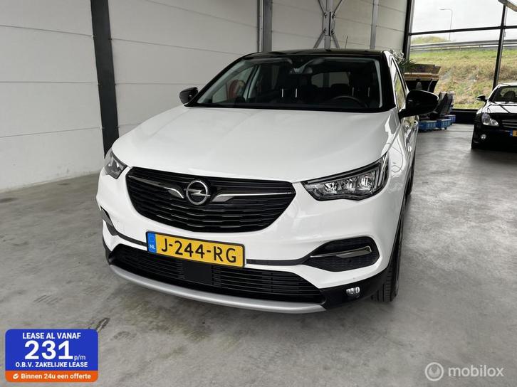 Opel Grandland X 1.2 Turbo Business Edition, Auto's, Opel, Bedrijf, Te koop, Grandland X, ABS, Achteruitrijcamera, Airbags, Airconditioning