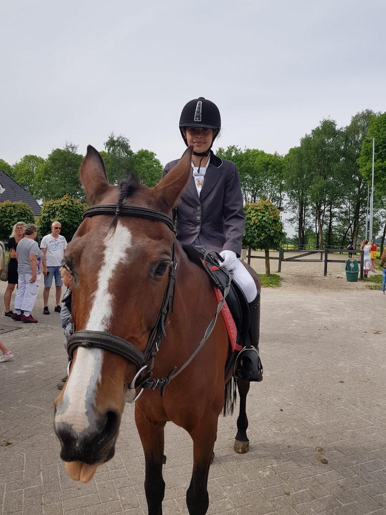 verzorg pony/paard, Ophalen of Verzenden